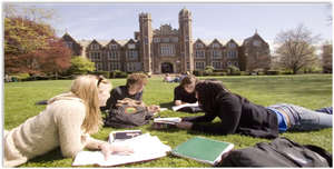 Schools, universities